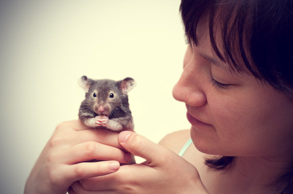 Woman Holding Hamsters