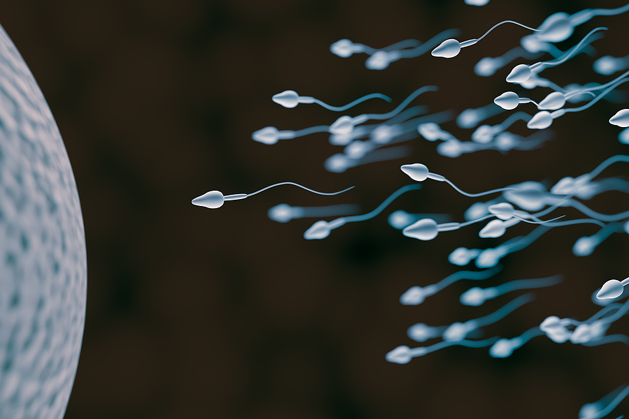 ofeli spermatos stin egkimosini 2