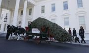 Η Μισέλ Ομπάμα και οι κόρες της καλωσορίζουν τα Χριστούγεννα με δέντρο 6 μέτρων! (βίντεο, φωτογραφίες)