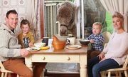 Απίστευτο: Οικογένεια τρώει το πρωινό της με μία καμήλα! (εικόνες)