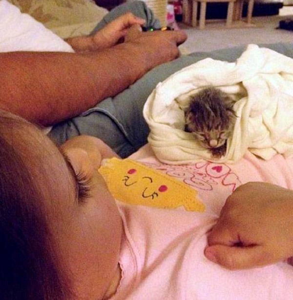 Το 3χρονο κοριτσάκι έδωσε ζωή σε ένα γατάκι και έγιναν οι καλύτερες φίλες! Δείτε τις τρυφερές φωτογραφίες!