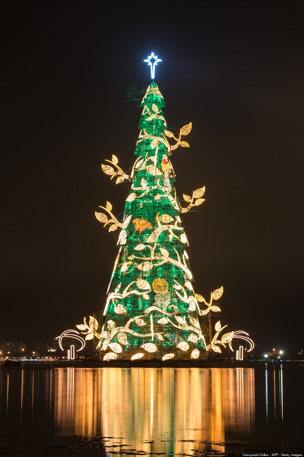 Τα 11 παραμυθένια χριστουγεννιάτικα δέντρα του κόσμου! (εικόνες)