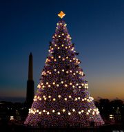 Τα 11 παραμυθένια χριστουγεννιάτικα δέντρα του κόσμου! (εικόνες)