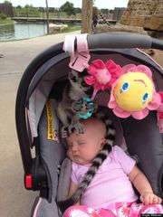 Τι αντίκρισε μια μαμά στο κεφαλάκι του μωρού της στη βόλτα στο ζωολογικό κήπο; (φωτογραφίες)