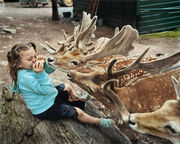 Η Αμέλια και τα ζώα! Μια μαμά αποτυπώνει στον φωτογραφικό φακό της την αγάπη της κόρης της για τα ζώα!