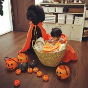 Η μικρή Γιαπωνεζούλα φωτογραφίζεται με τα τεράστια σκυλιά της και το Instagram λιώνει (pics) 
