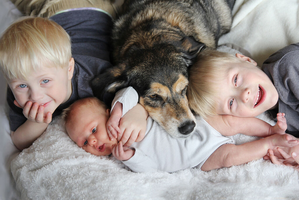 Δέκα συμβουλές προστασίας των παιδιών από τα σκυλιά και το αντίθετο