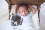 Μωρό και σκύλος - Μία σχέση αγάπης μέσα από υπέροχες φωτογραφίες (pics)
