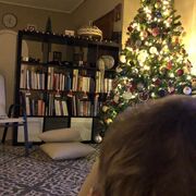 Σταύρος Νικολαΐδης: Δείτε τον γιο του να στολίζει το χριστουγεννιάτικο δέντρο (pics) 