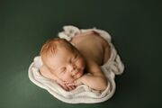Νεογέννητα ποζάρουν στον φωτογραφικό φακό και το αποτέλεσμα είναι υπέροχο