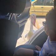 Γιώργος Λιάγκας: Φωτογραφίες από τις διακοπές στην Τήνο με τους γιους του