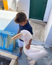 Γιώργος Λιάγκας: Φωτογραφίες από τις διακοπές στην Τήνο με τους γιους του