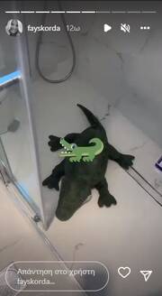 Έτσι αντί να βρει κάποιο παιχνίδι που στεγνώνει εύκολα, η Φαίη Σκορδά βρήκε έναν κροκόδειλο στην ντουζιέρα, από πάνω μέχρι κάτω... μούσκεμα.