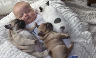Η απίστευτη σχέση ενός μωρού με τρία κουτάβια! 