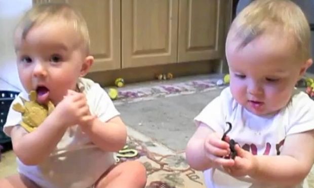 Βίντεο: Τα μωρά… παπαγαλάκια! 