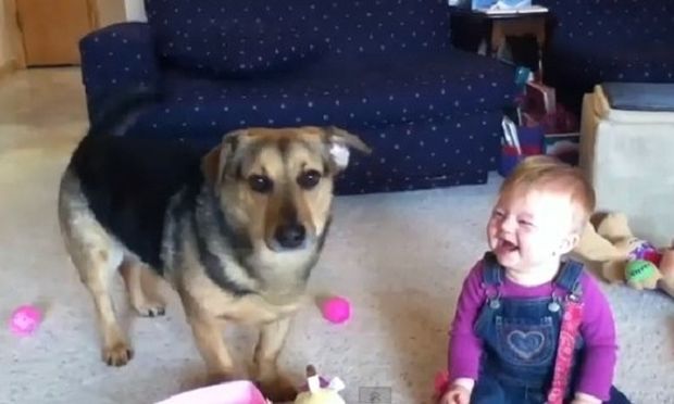 Τι κάνουν ένα μωρό κι ένας σκύλος όταν δουν σαπουνόφουσκες; Δείτε το ξεκαρδιστικό βίντεο!