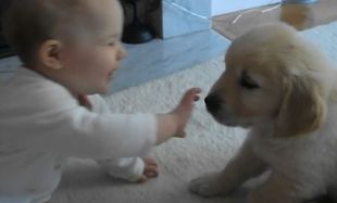 Πώς αντιδρά ένα μωρό όταν βλέπει για πρώτη φορά ένα  κουταβάκι; (βίντεο)