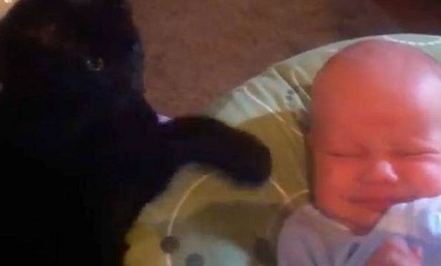 Τι κάνει μία γάτα όταν κλαίει ένα μωρό; Το βίντεο που κάνει το γύρο του διαδικτύου!