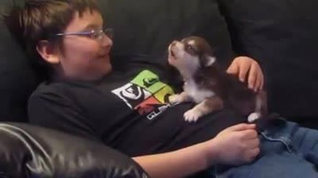 Αγοράκι μαθαίνει στο σκυλάκι του να ουρλιάζει! (βίντεο)