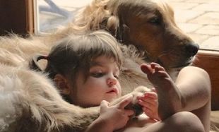 Παιδί και ζώα-Τι πρέπει να γνωρίζουμε προτού φέρουμε ένα ζώο στο σπίτι