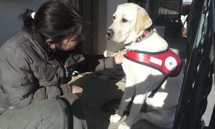 Λούνα, ο σκύλος που δίνει χαρά στα παιδιά που το έχουν ανάγκη! (εικόνες)