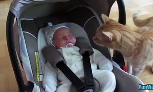 Οταν ένα νεογέννητο «φρικάρει» ένα γατί! (βίντεο)