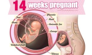 Εγκυμοσύνη ανά εβδομάδα: 14η εβδομάδα της κύησης!