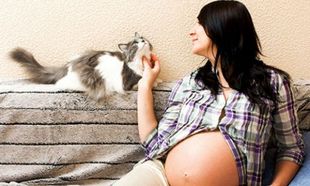 Τοξοπλάσμωση κι εγκυμοσύνη: Τι πρέπει να προσέξετε