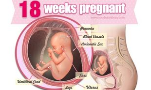 Εγκυμοσύνη ανά εβδομάδα: 18η εβδομάδα της κύησης!