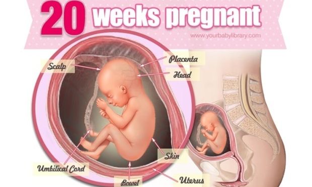 Εγκυμοσύνη ανά εβδομάδα: 20η εβδομάδα της κύησης!