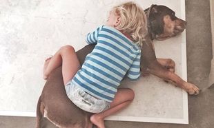Αγκαλιά με τον σκύλο κοιμάται η κόρη διάσημης μανούλας!