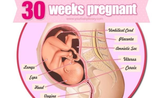 Εγκυμοσύνη ανά εβδομάδα: 30η εβδομάδα της κύησης!