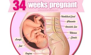 Εγκυμοσύνη ανά εβδομάδα: 34η εβδομάδα της κύησης!