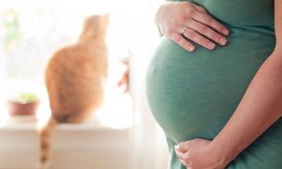 Τοξοπλάσμωση και εγκυμοσύνη