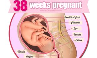 Εγκυμοσύνη ανά εβδομάδα: 38η εβδομάδα της κύησης