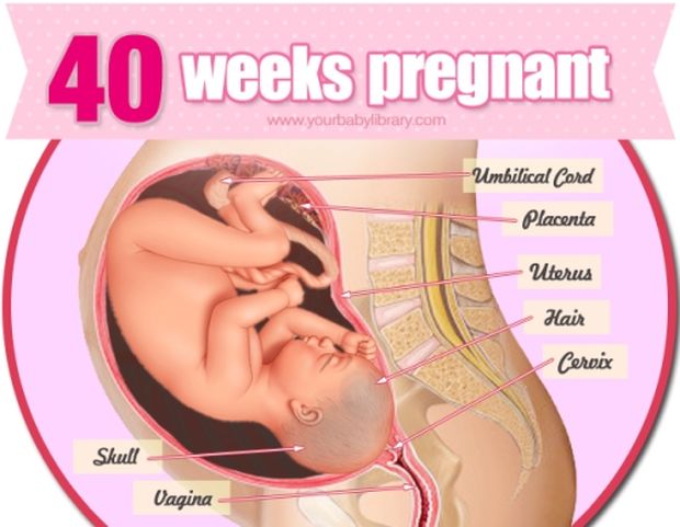 Εγκυμοσύνη ανά εβδομάδα: 40η εβδομάδα της κύησης