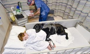 Τόση αγάπη! Σκύλος δεν αφήνει το αυτιστικό παιδί μόνο του ούτε στο νοσοκομείο