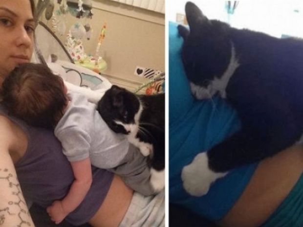Δείτε το απίστευτο δέσιμο της γάτας με το μωράκι απ’ όταν ήταν ακόμα στην κοιλιά! (photos)