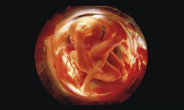 «Πώς τρέφεται το έμβρυο; Πώς αναπνέει; Μπορεί να γευτεί;» (βίντεο)
