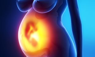 Επιπωματικός (placenta previa) και επιχείλιος πλακούντας: Όλα όσα πρέπει να γνωρίζετε