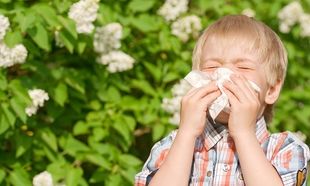 Μύθοι και πραγματικότητες για τις αλλεργίες