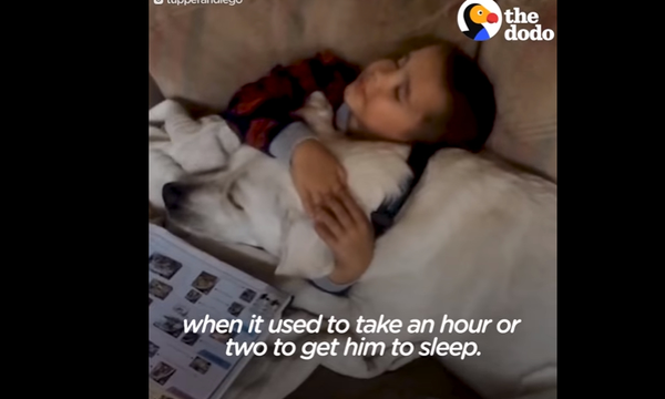 Το πιο συγκινητικό βίντεο: Σκύλος βοηθάει παιδάκι με αυτισμό