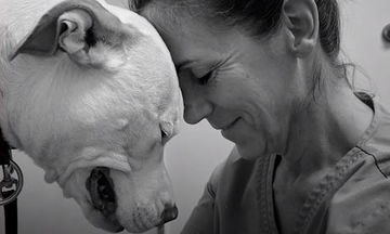 Υιοθέτησε ένα σκύλο και η ζωή της άλλαξε εντελώς (video) 