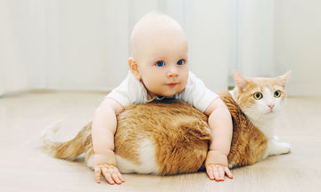 Νόσος εξ ονύχων γαλής: Τι κινδύνους κρύβει για το μωρό σας η γρατζουνιά ή το δάγκωμα μιας γάτας