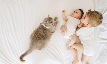 Έξι τρόποι να προετοιμάσετε τη γάτα σας για τον ερχομό του μωρού σας