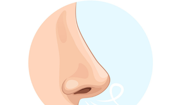 Τι φανερώνει το σχήμα της μύτης σου για τον χαρακτήρα σου;