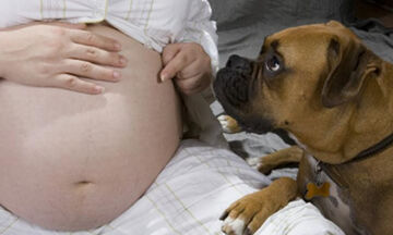Δείτε πώς αντιδρούν τα ζώα στις έγκυες γυναίκες (vid) 