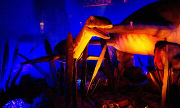 «Δεινόσαυροι και τέρατα των θαλασσών»: Διαδραστική έκθεση για την εξέλιξη της θαλάσσιας ζωής 
