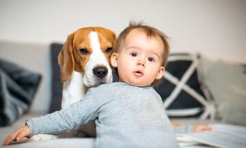 Δείτε τι κάνει το σκυλάκι στο μωρό της οικογένειας - Θα λιώσετε! (vid)