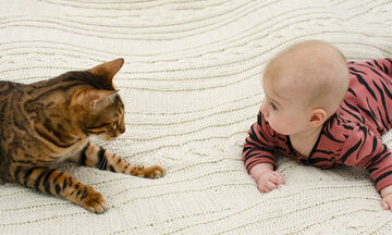 Γάτες κάνουν babysitting στο μωρό και είναι απλά αξιολάτρευτες (vids)